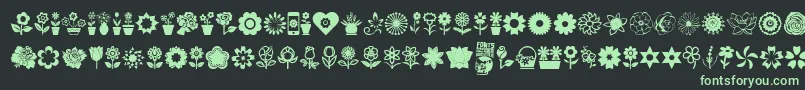 Police Flower Icons – polices vertes sur fond noir