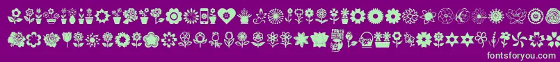 Flower Icons Font – Green Fonts on Purple Background