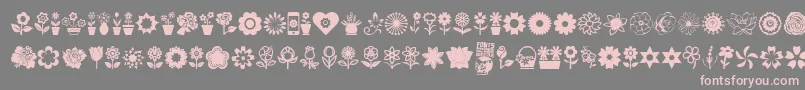 Flower Icons Font – Pink Fonts on Gray Background