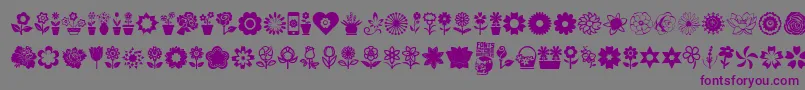 Flower Icons-Schriftart – Violette Schriften auf grauem Hintergrund