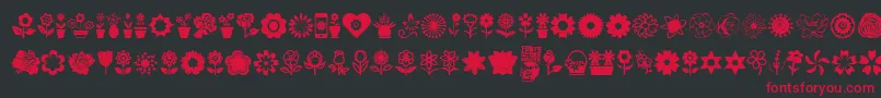 Шрифт Flower Icons – красные шрифты на чёрном фоне