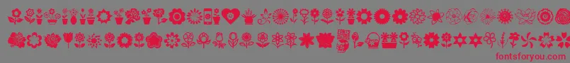 Flower Icons-fontti – punaiset fontit harmaalla taustalla