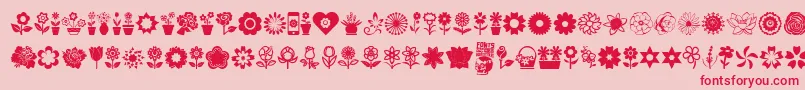 Fonte Flower Icons – fontes vermelhas em um fundo rosa