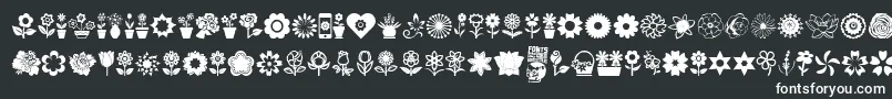 Czcionka Flower Icons – białe czcionki na czarnym tle