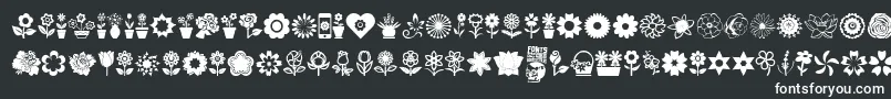 fuente Flower Icons – Fuentes Blancas Sobre Fondo Negro