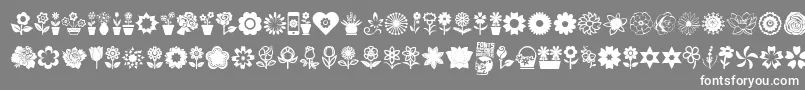 Шрифт Flower Icons – белые шрифты на сером фоне