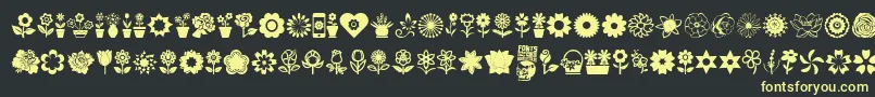 フォントFlower Icons – 黒い背景に黄色の文字