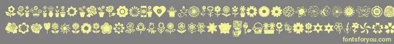 フォントFlower Icons – 黄色のフォント、灰色の背景