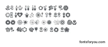 Обзор шрифта Flower Icons