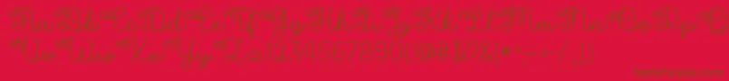 Flower Shop   Font – Brown Fonts on Red Background