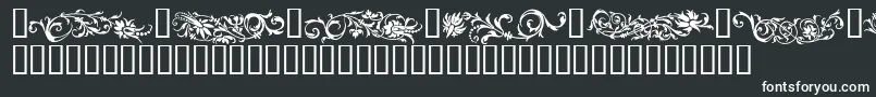 FLOWO    Font – White Fonts