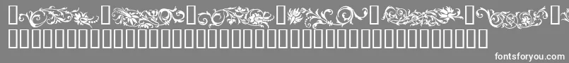 FLOWO    Font – White Fonts on Gray Background