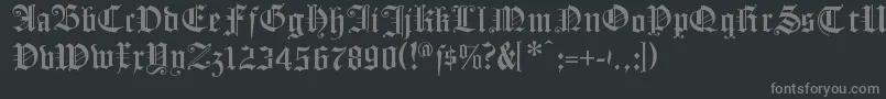 フォントFlyingHollander – 黒い背景に灰色の文字