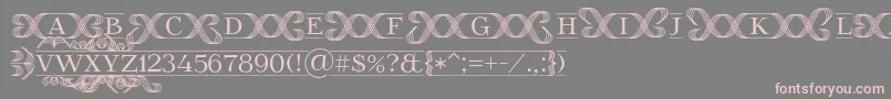 FoglihtenFr02 Font – Pink Fonts on Gray Background