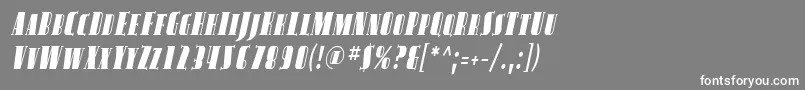 フォントAvond14 – 灰色の背景に白い文字