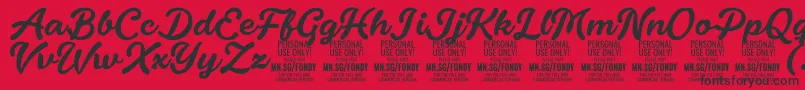 FondyScript PERSONAL USE ONLY Font – Black Fonts on Red Background