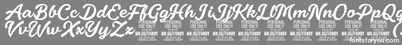 FondyScript PERSONAL USE ONLY-Schriftart – Weiße Schriften auf grauem Hintergrund