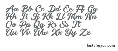 FondyScript PERSONAL USE ONLY Font