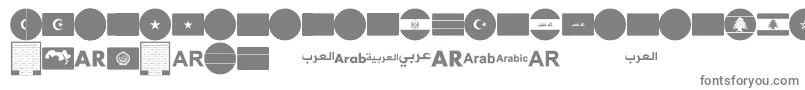 font arabic flags Font – Gray Fonts on White Background