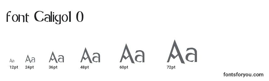 Размеры шрифта Font Caligo1 0