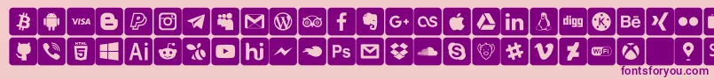 font social media Font – Purple Fonts on Pink Background