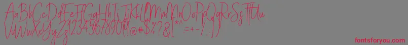 StayClassySldt Font – Red Fonts on Gray Background