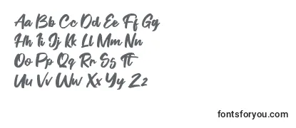 Обзор шрифта Fontgrab
