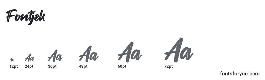 Размеры шрифта Fontjek