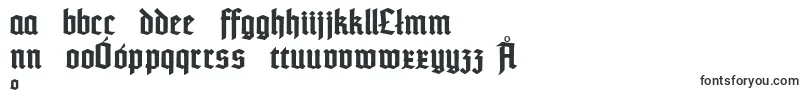 TypographertexturBold Font – Polish Fonts