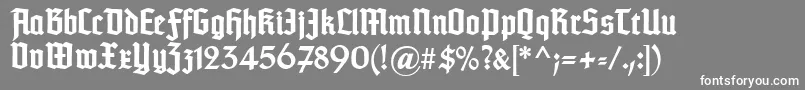 Czcionka TypographertexturBold – białe czcionki na szarym tle