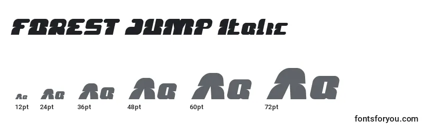 Размеры шрифта FOREST JUMP Italic
