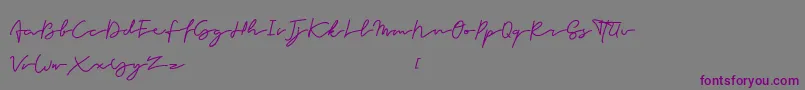 Forever Font – Purple Fonts on Gray Background