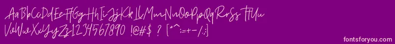 fuente Fort Collins Script DEMO – Fuentes Rosadas Sobre Fondo Morado