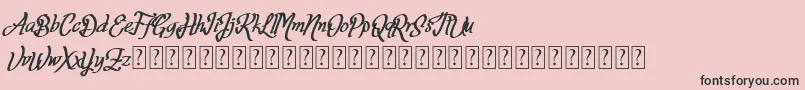 Fortuin FREE FOR PERSONAL USE Font – Black Fonts on Pink Background