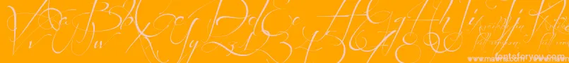 BeforetherainPersonalUseDemo Font – Pink Fonts on Orange Background