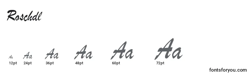 Roschdl Font Sizes