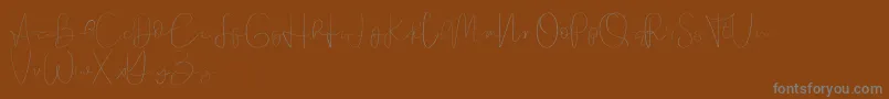 Founder demo-Schriftart – Graue Schriften auf braunem Hintergrund