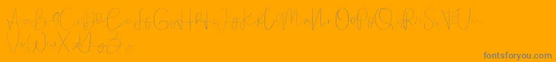 Founder demo-Schriftart – Graue Schriften auf orangefarbenem Hintergrund