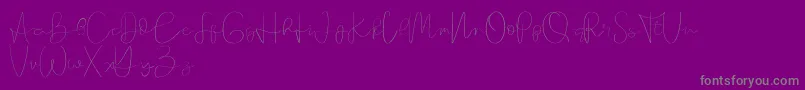 フォントFounder demo – 紫の背景に灰色の文字