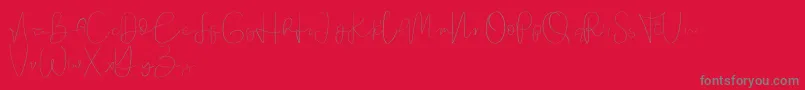 Founder demo-Schriftart – Graue Schriften auf rotem Hintergrund