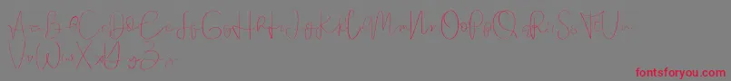 Founder demo-Schriftart – Rote Schriften auf grauem Hintergrund