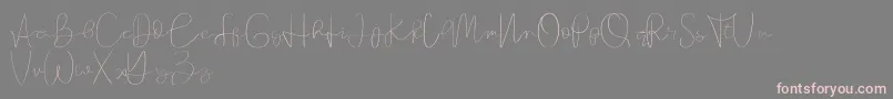 Founder demo-Schriftart – Rosa Schriften auf grauem Hintergrund