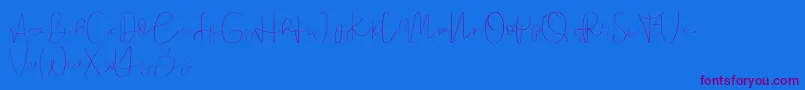Founder demo-Schriftart – Violette Schriften auf blauem Hintergrund