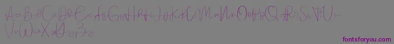 フォントFounder demo – 紫色のフォント、灰色の背景
