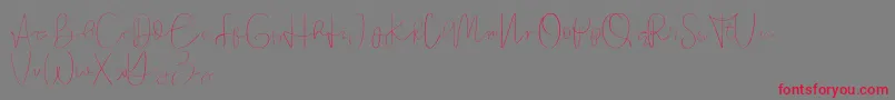 Founder demo Font – Red Fonts on Gray Background