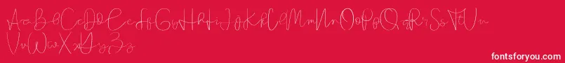 Founder demo Font – White Fonts on Red Background