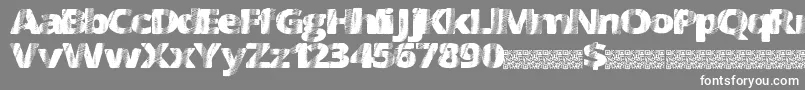 FourSix Font – White Fonts on Gray Background