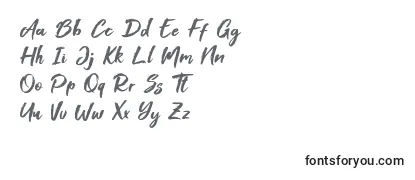 Foxlite Script Font