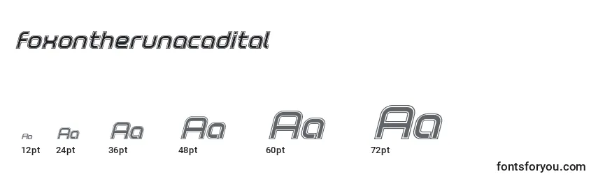 Foxontherunacadital Font Sizes