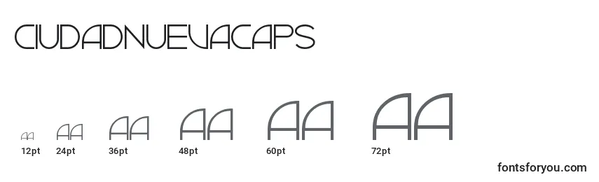 CiudadNuevaCaps Font Sizes